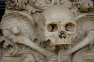 Common Myths About Calcium Supplements and What Scientific Research Actually Shows