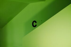 Exploring the Benefits of Calcium Supplements for Osteoporosis Prevention and Treatment