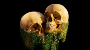 The Connection Between Calcium and Dental Health Preventing Cavities and Tooth Decay